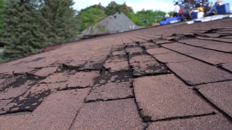 Best Flat Roofing  in Sundown, TX